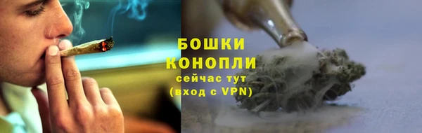 трава Аркадак