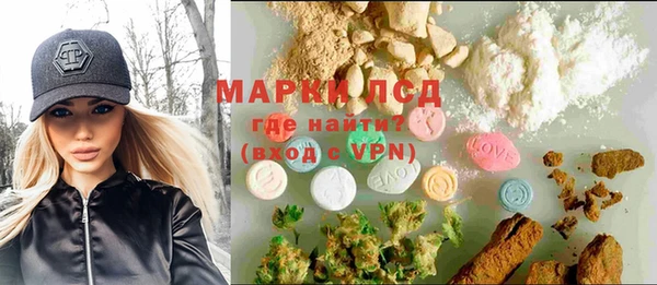 трава Аркадак