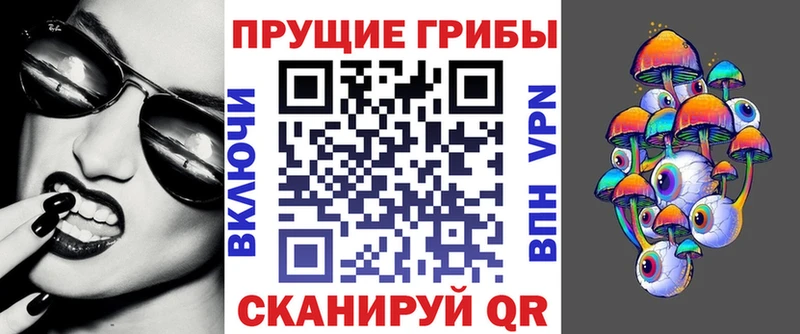 Псилоцибиновые грибы прущие грибы Камбарка